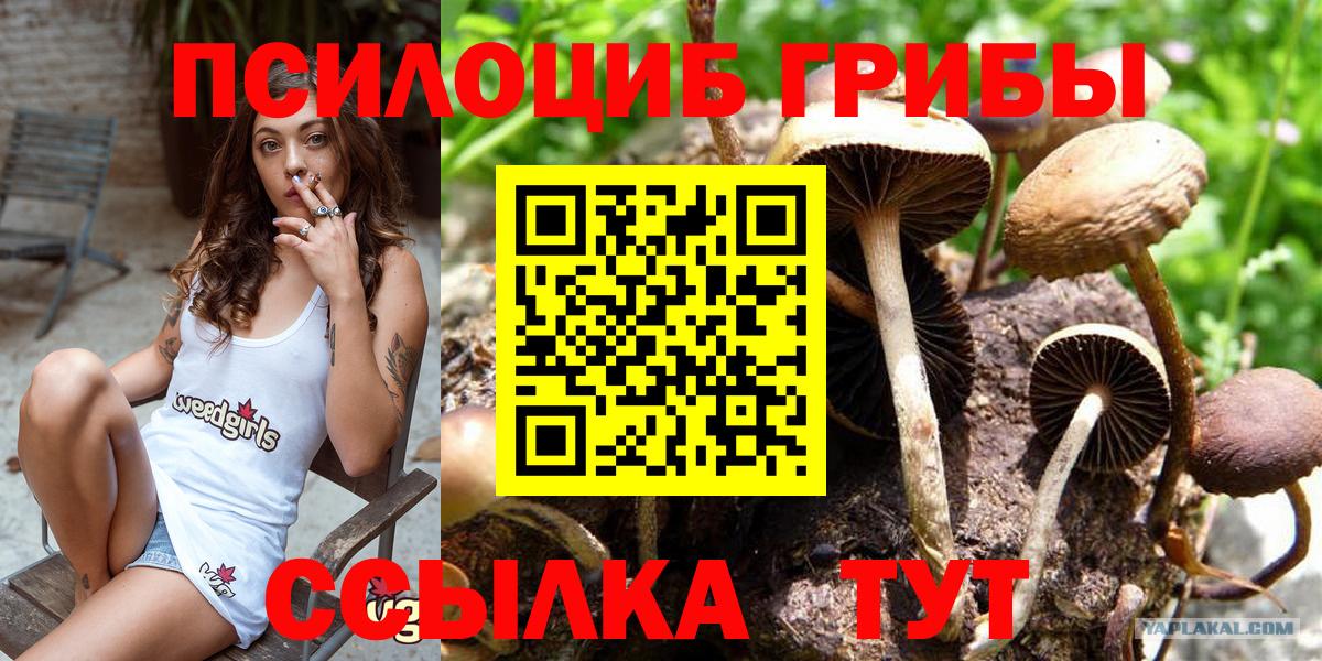 Псилоцибиновые грибы ЛСД Вичуга
